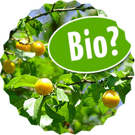 Bio Marmelade oder natürliche Marmelade?