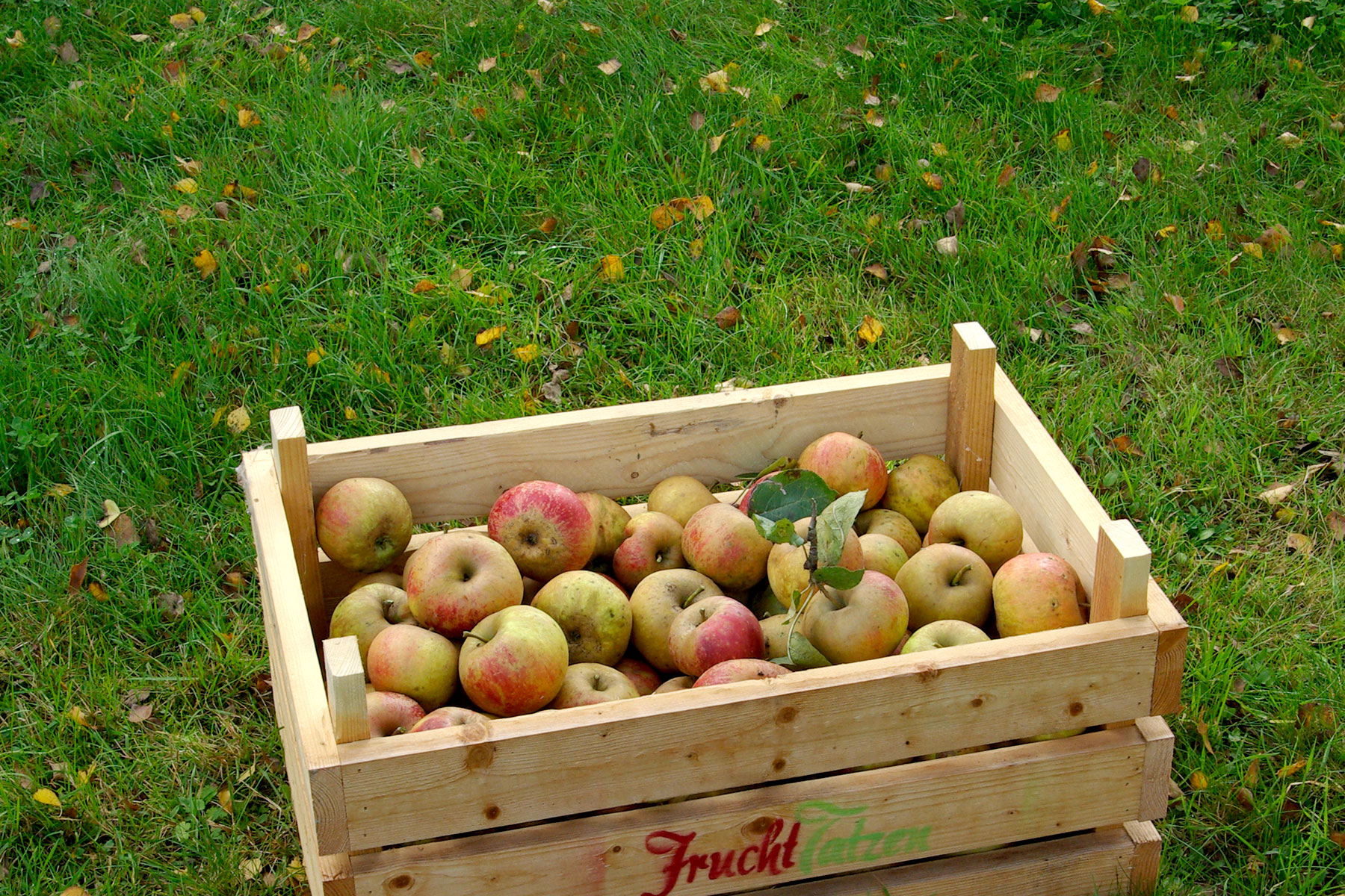 Marmeladenmanufaktur - Marmeladen, Liköre und Sirup als Geschenk