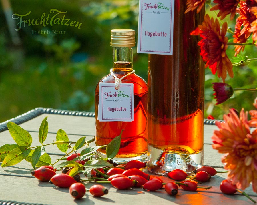 Marmelade und Likör als Geschenk - Ansatz Hagebutte