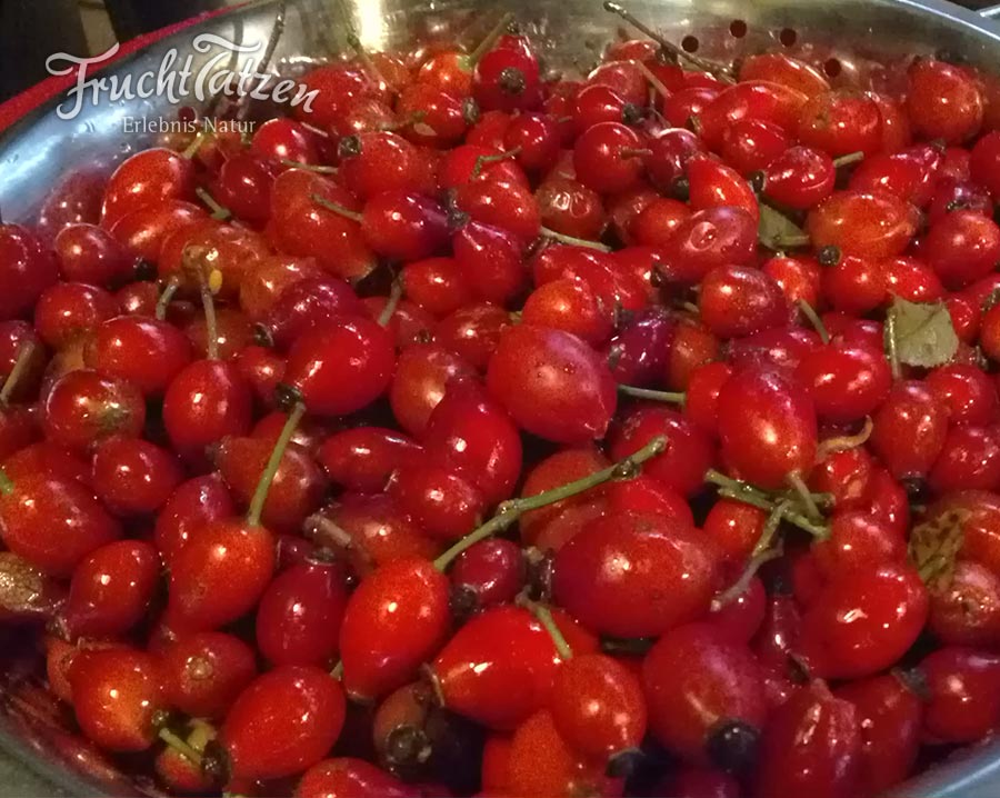 Marmelade als Geschenk - Ansatz Hagebutte
