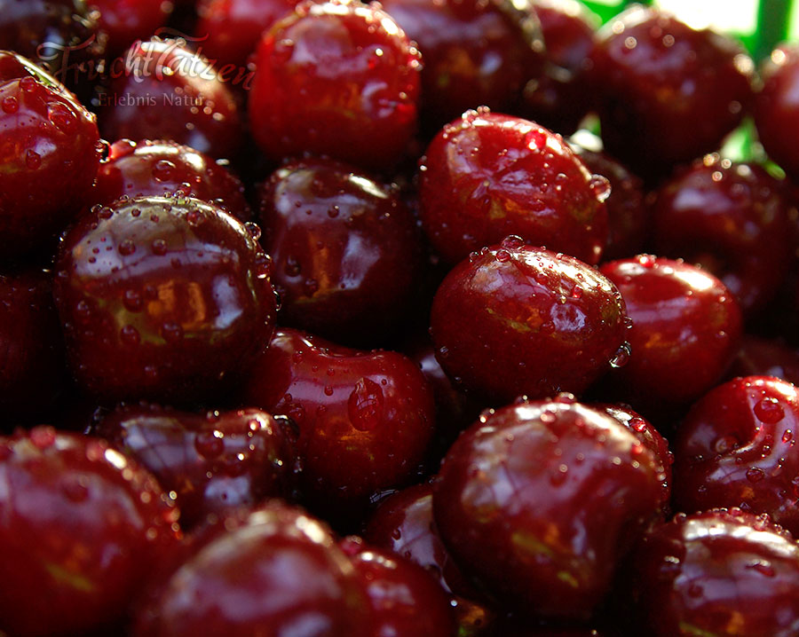 Cranberry Portwein Marmelade - Century Arts