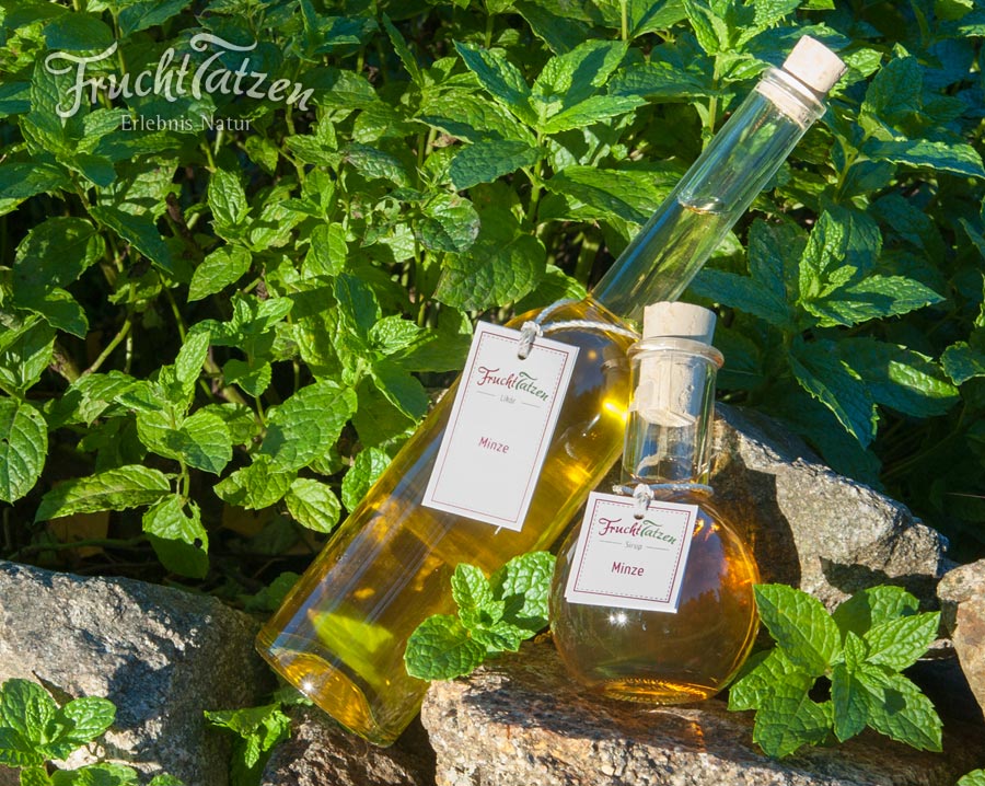 Marmeladenmanufaktur Fruchttatzen - Minz-Sirup für den Sommer-Cocktail