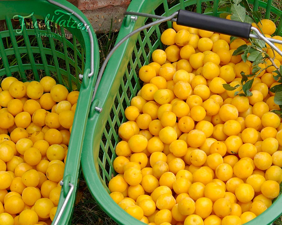 Marmeladenmanufaktur - besondere Marmeladen online kaufen