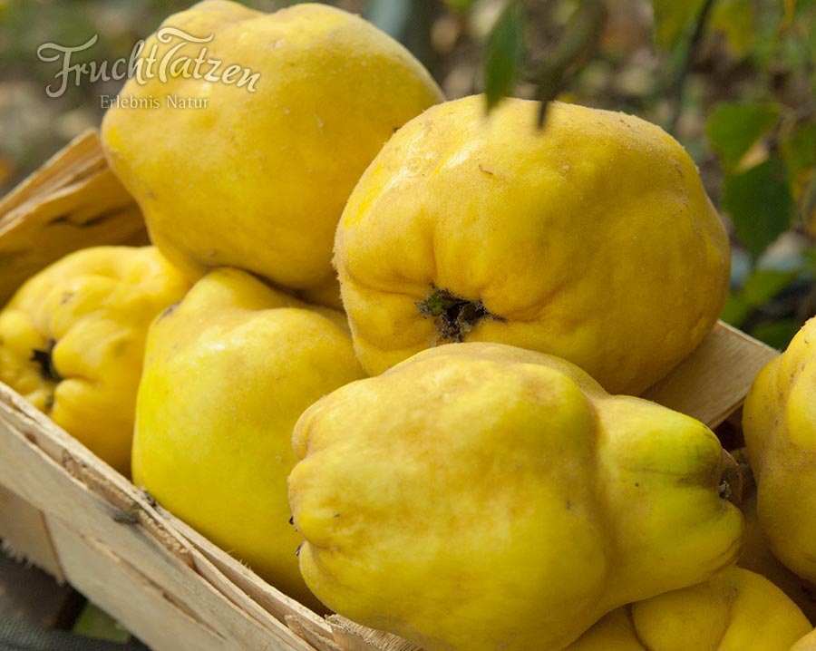 Marmelade kaufen - Marmelade aus der Marmeladenmanufaktur
