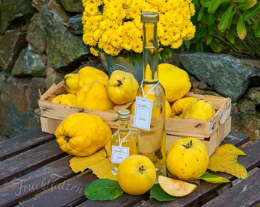 Marmelade und Likör als Geschenk - Ansatz Quitte