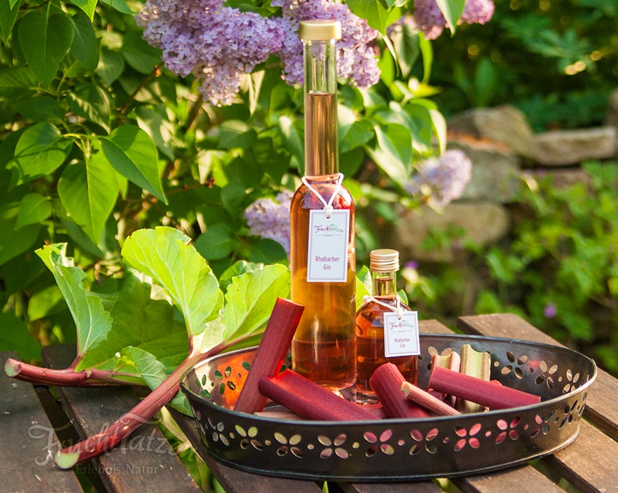 das besondere Geschenk - Rhabarber-Gin